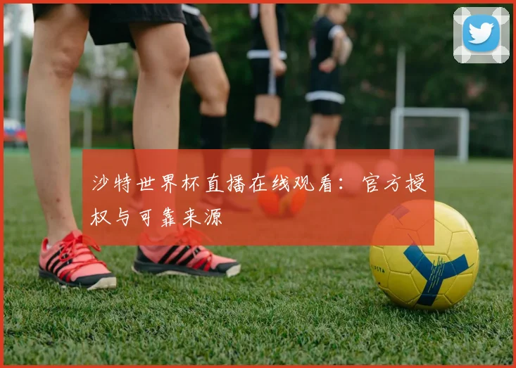 沙特世界杯直播在线观看:官方授权与可靠来源